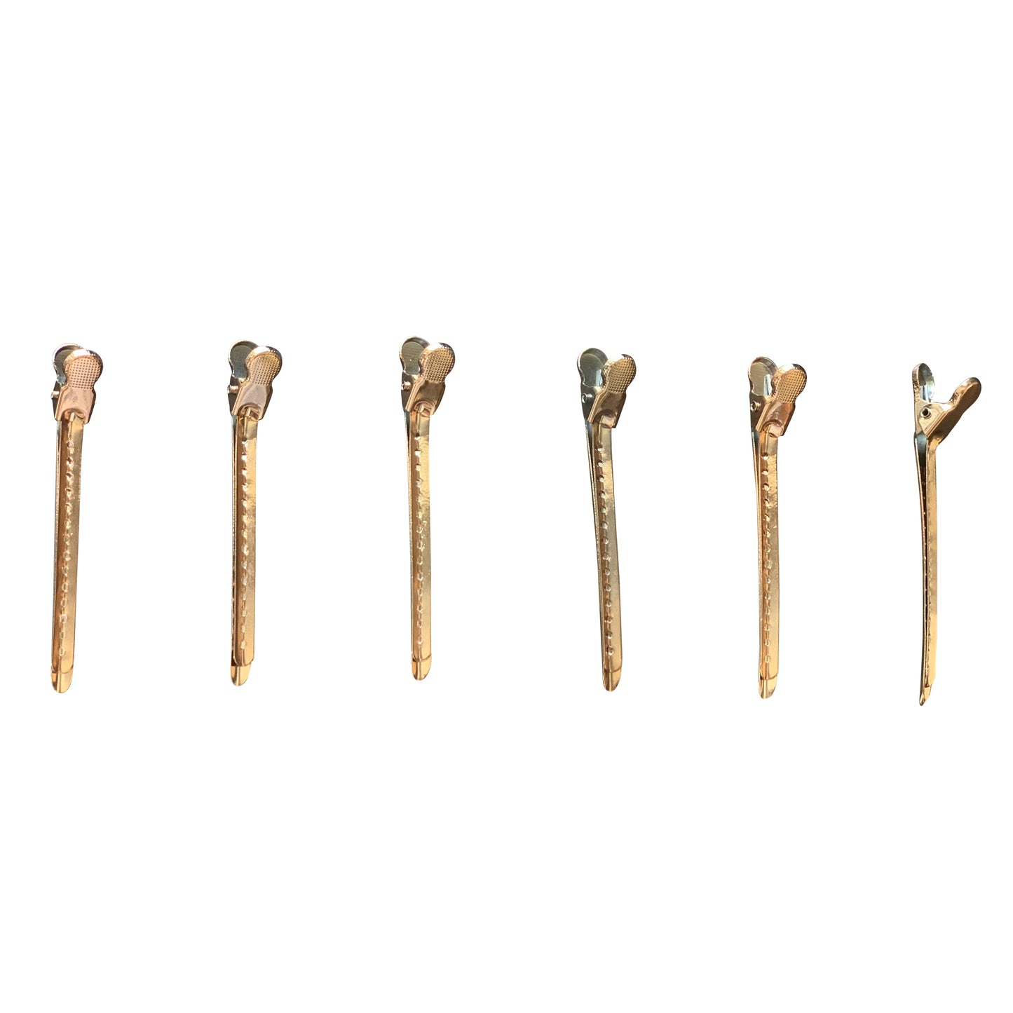 Professional Styling Clips (6 pack) - The Frontal Queen