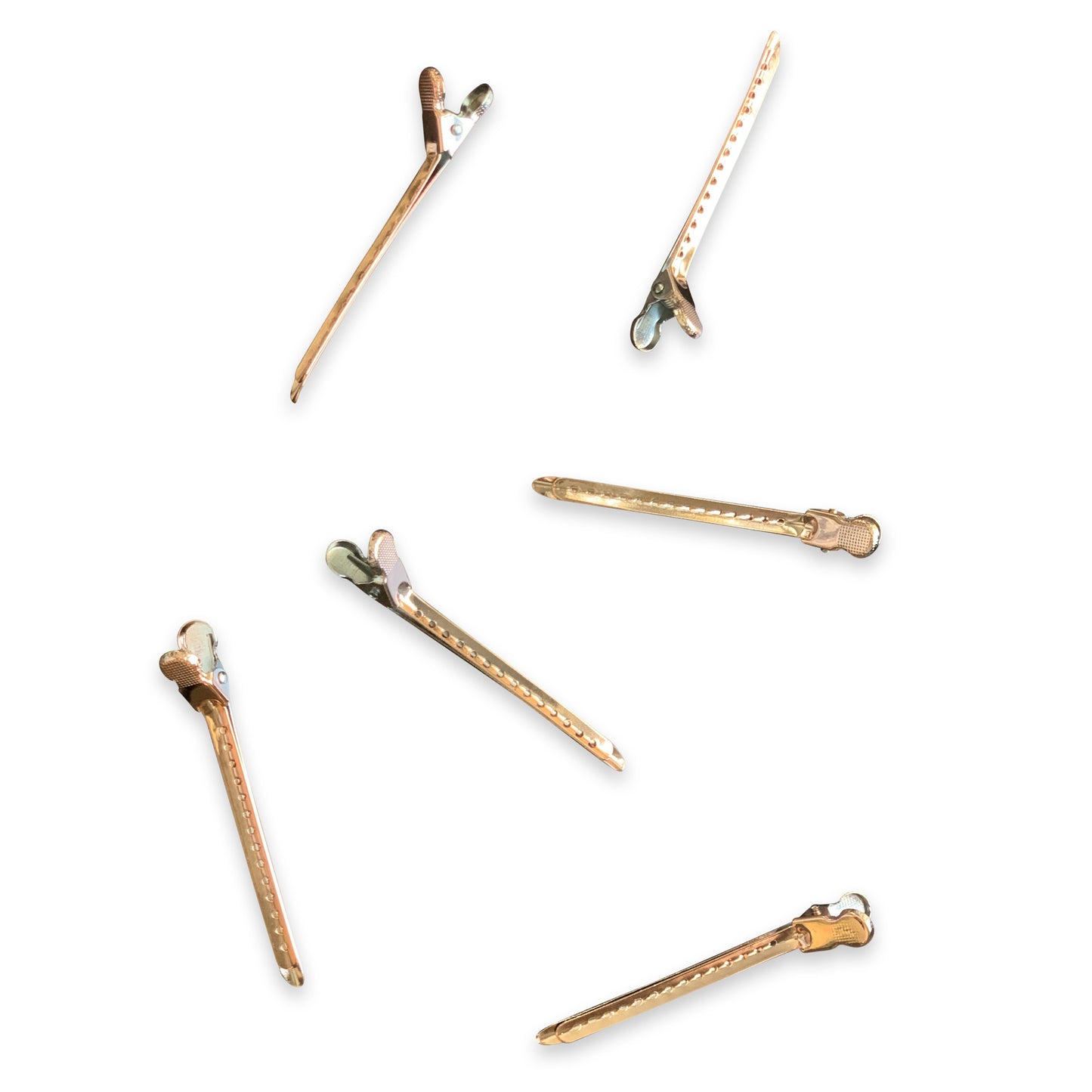 Professional Styling Clips (6 pack) - The Frontal Queen