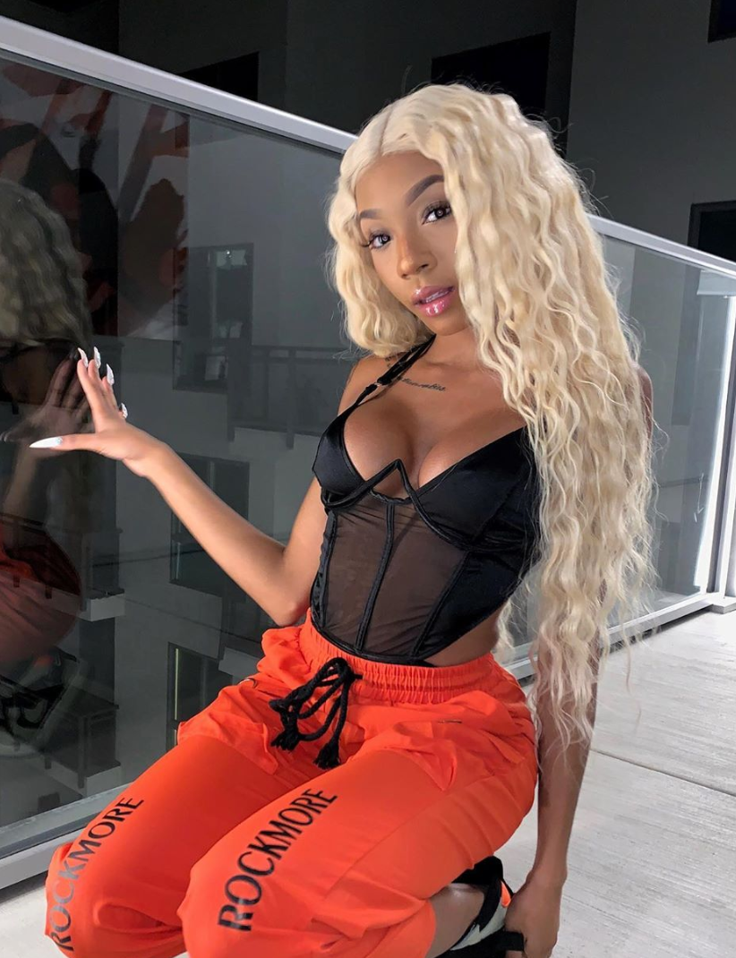 Pro Invisilace Blonde 613 Wig - STRAIGHT - The Frontal Queen