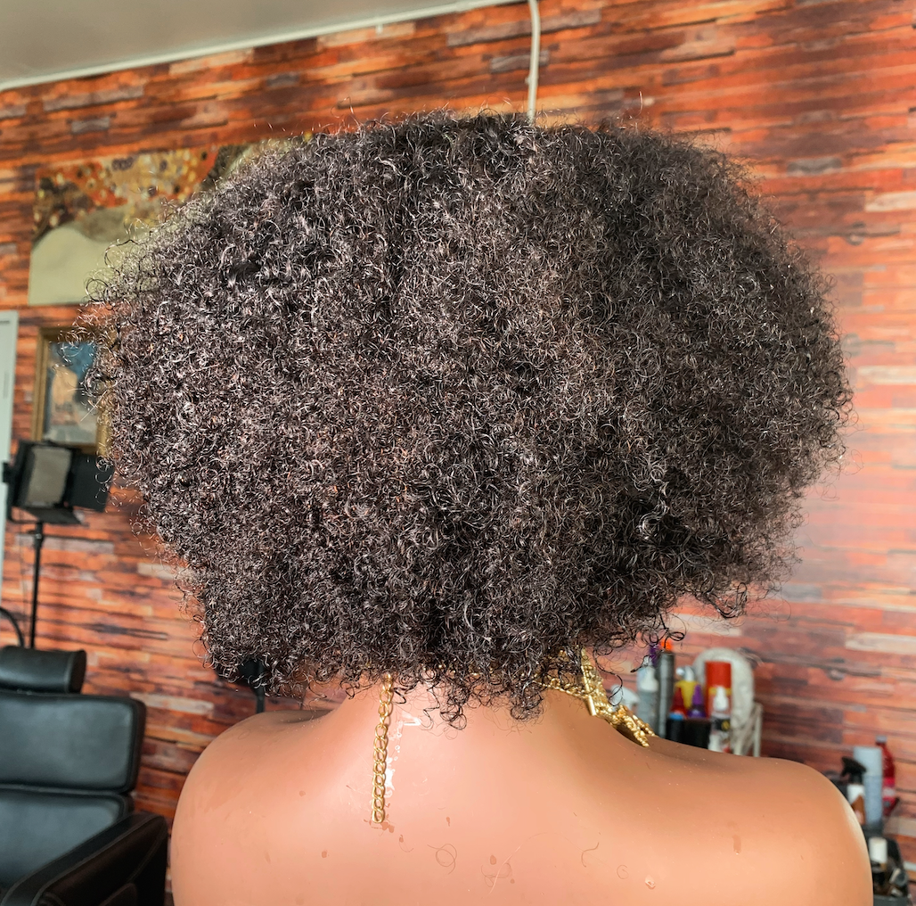 Cambodian Afro Curly Frontal Wig - The Frontal Queen